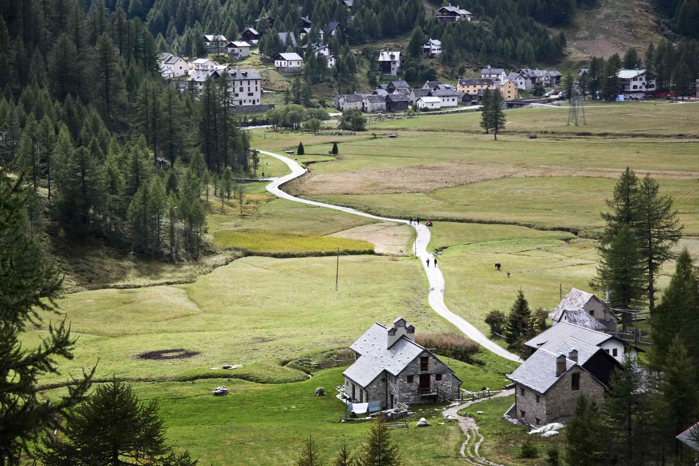 Lot Splits, Bungalows, and the Missing Middle Housing Lot Splits, Bungalows, and the Missing Middle Housing